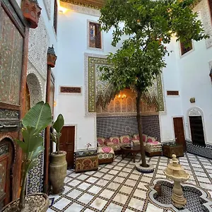Phoenix Bed and breakfast Fez